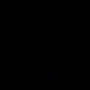 Meet your Posher, Mia